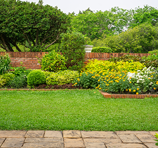 植栽Planting